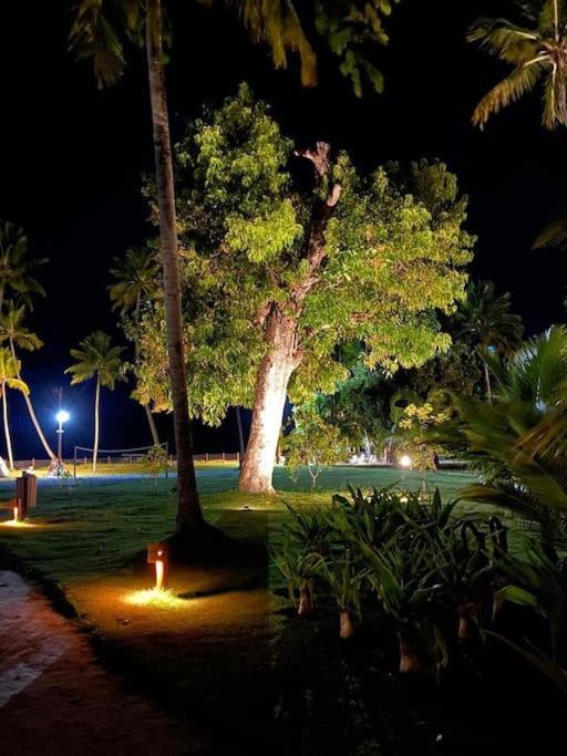 Eco Resort Praia Dos Carneiros Exteriör bild